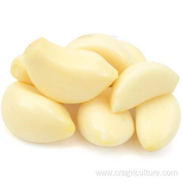 New Crops Factory Supply Peeled Garlic